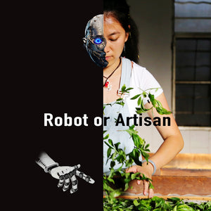 Robot or Artisan?