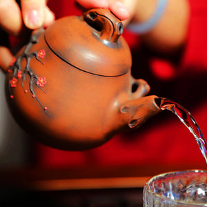 Plum Blossoms - Jian Shui Pottery Teapot - Wild Tea Qi Official Website
