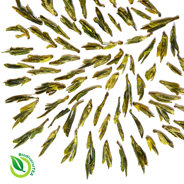 Artisan Yunnan Longjing Green Tea - Wild Tea Qi Official Website