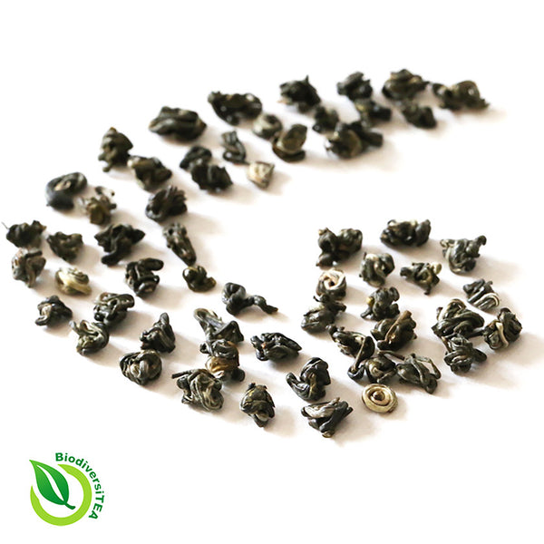 Ancient Artisan Bi Luo Chun Green Tea - Wild Tea Qi Official Website