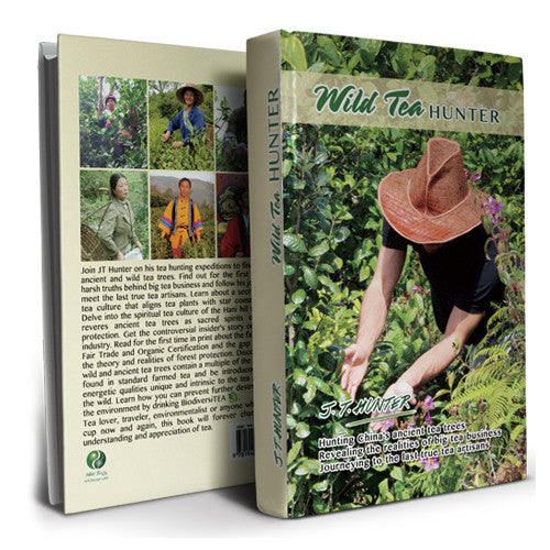 Wild Tea Hunter - Wild Tea Qi Official Website