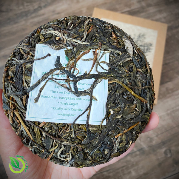 The Qi of Tea - Ancient Rattan Tea Tree Raw Puer - 2021 Limited Edition - Wild Tea Qi Official Website