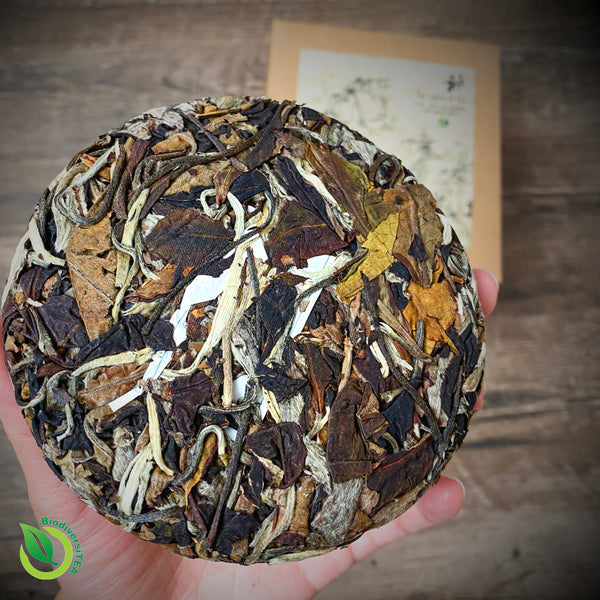 The Spirit of Tea - Ancient Artisan Moonlight White - 2021 Limited Edition - Wild Tea Qi Official Website