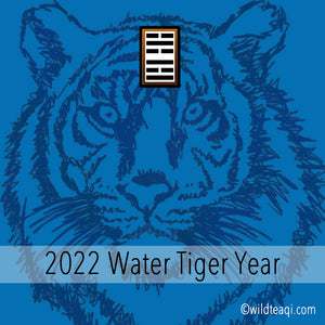 2022 The Year of Water Tiger