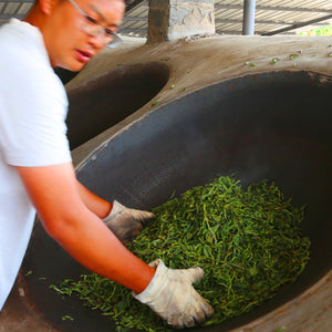 Saving Our Last True Tea Masters