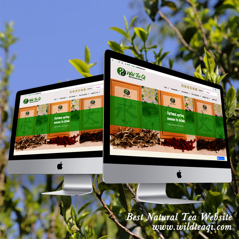 Wild Tea Qi Named by National Press Distributors as the “Best Natural Tea Website”!