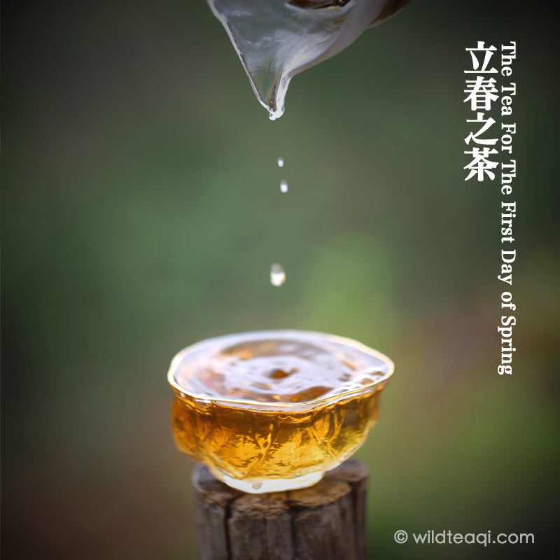 The Tea For the First Day of Spring