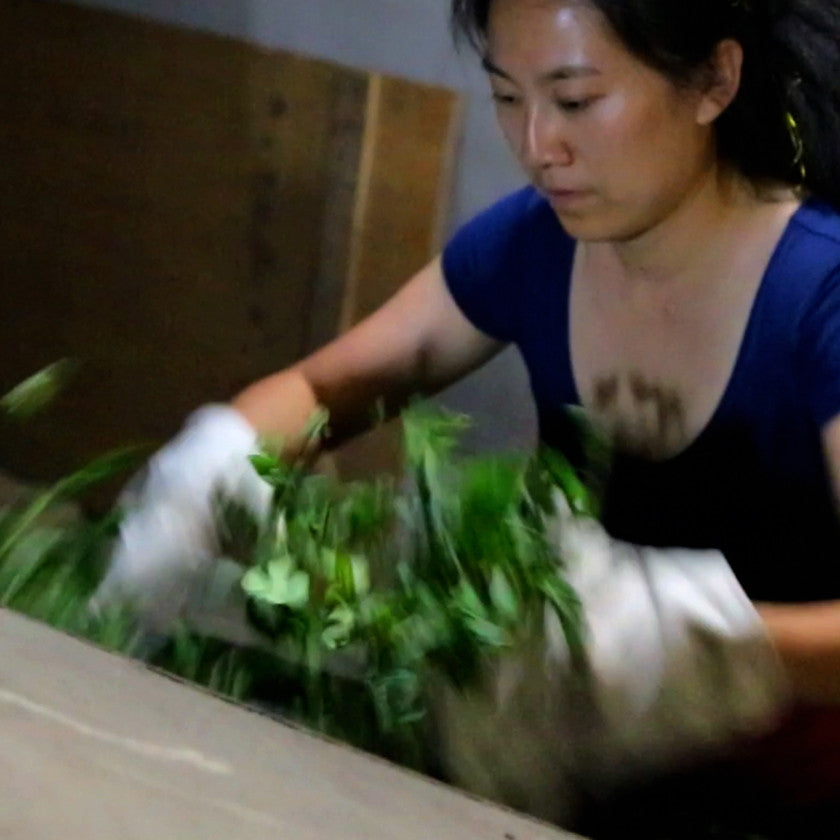What Makes a Tea Artisan or a True Tea Master?