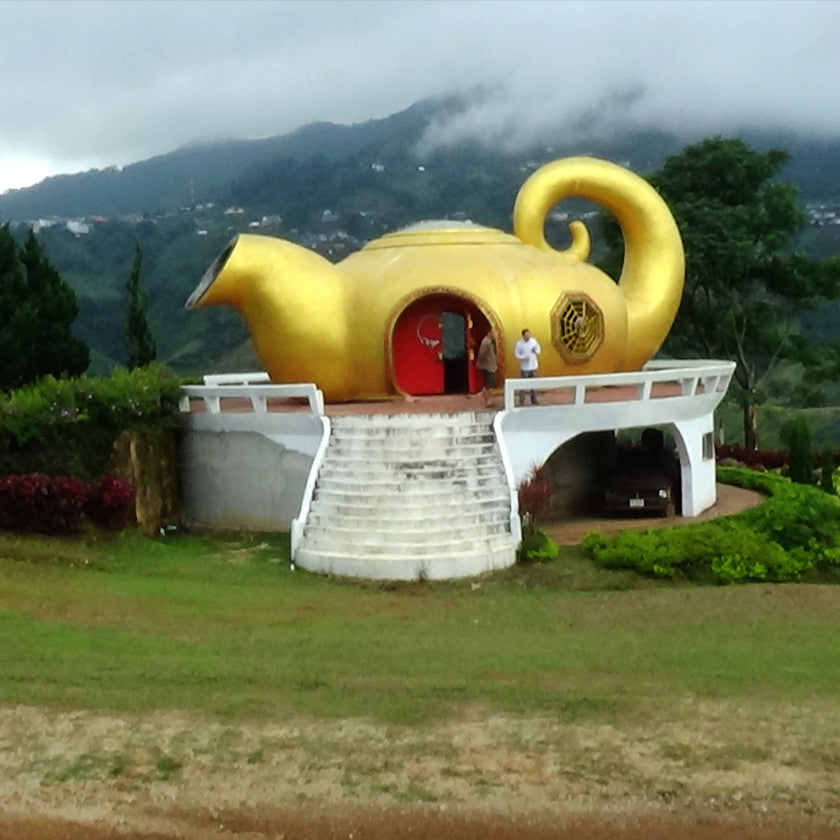 Thailand Tea School Opens