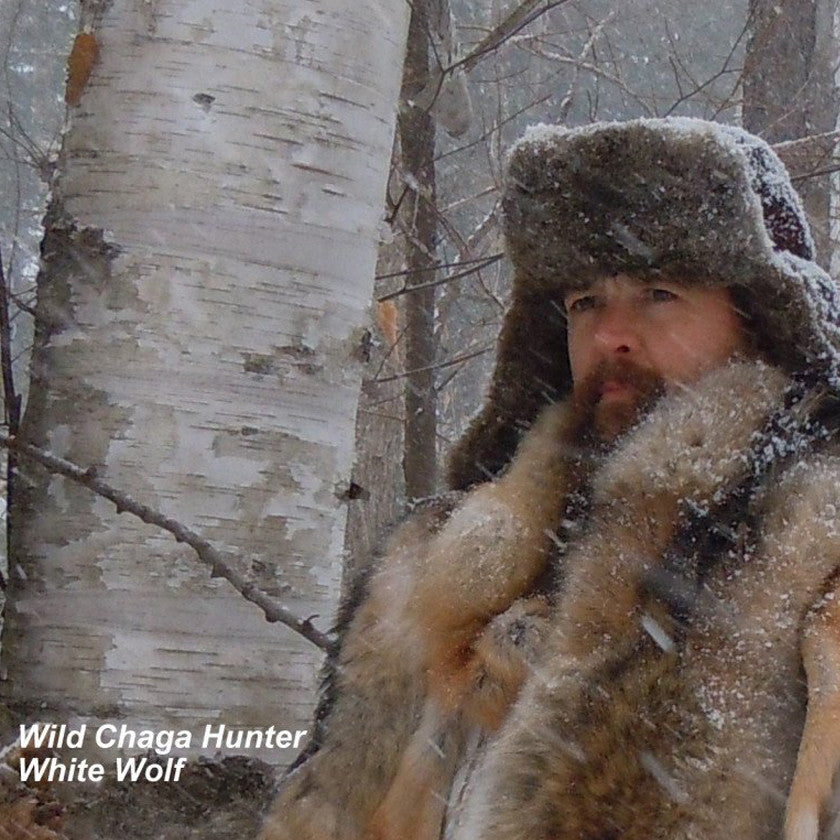 Wild Chaga Hunter’s Diary