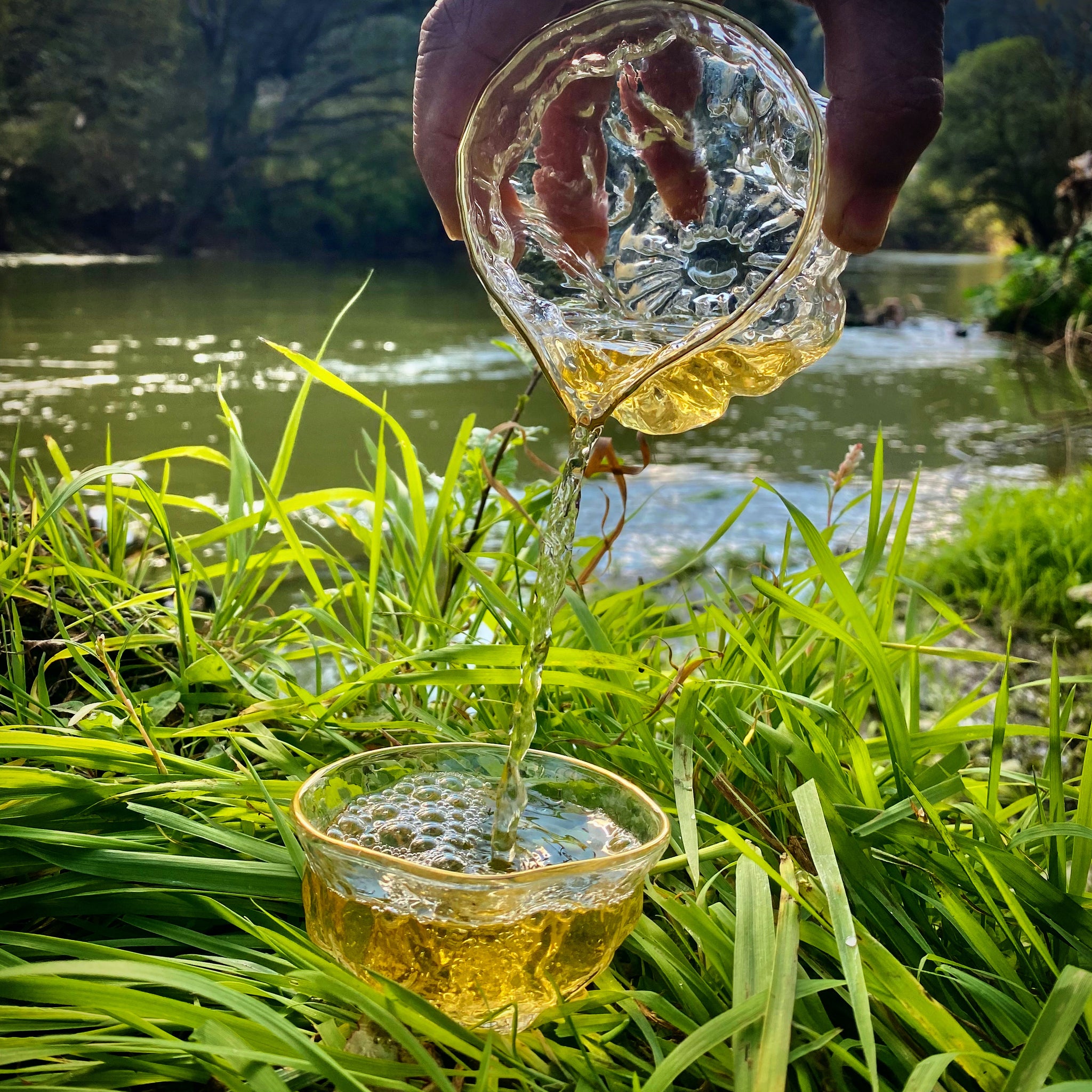 The Water Element and Tea