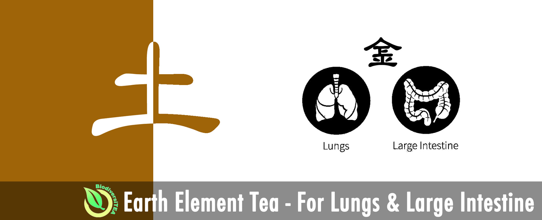Earth Element Tea - For Lungs & Large Intestine