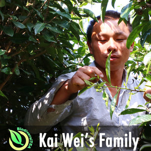 Kai Wei's Family
