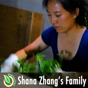 Shana Zhang's Family Tea