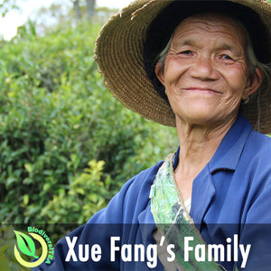 Xue Fang's Family