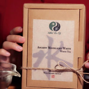 4 Seasons Gift Set - Wild Tea Qi Official Website