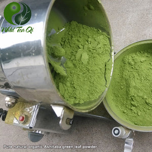 Ashitaba Green Leaf Powder - Wild Tea Qi Official Website