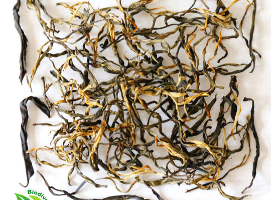 Ancient Artisan Yunnan Black Tea - Wild Tea Qi Official Website