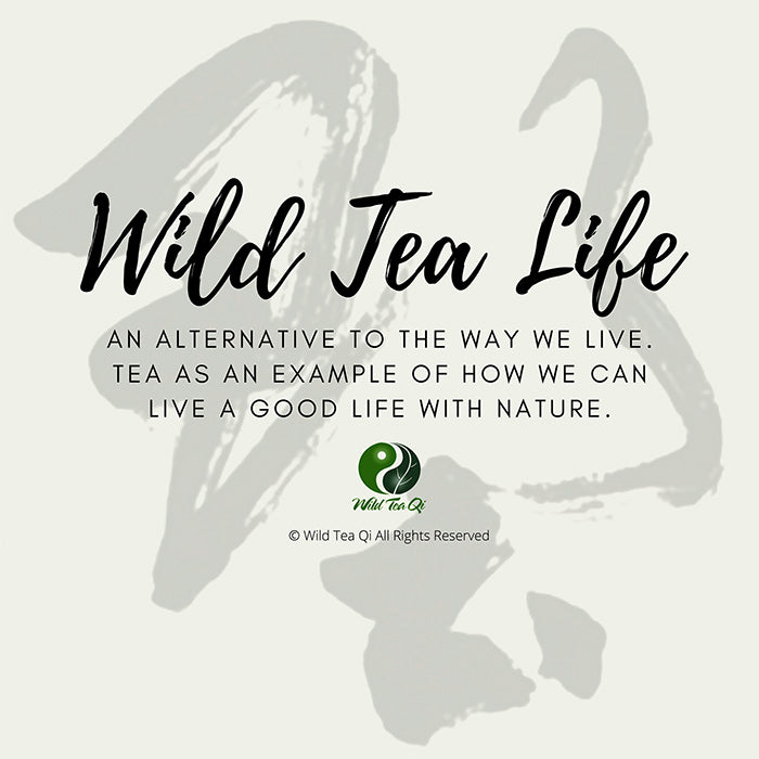 Wild Tea Life - Ebook FOR FREE - Wild Tea Qi Official Website