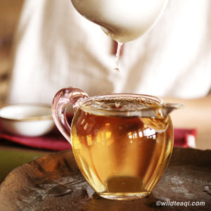 Ancient Artisan Moonlight White Tea - Wild Tea Qi Official Website