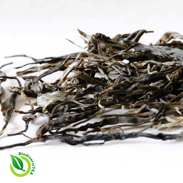 Mengku Rich Valley Raw Puer Tea - Wild Tea Qi Official Website