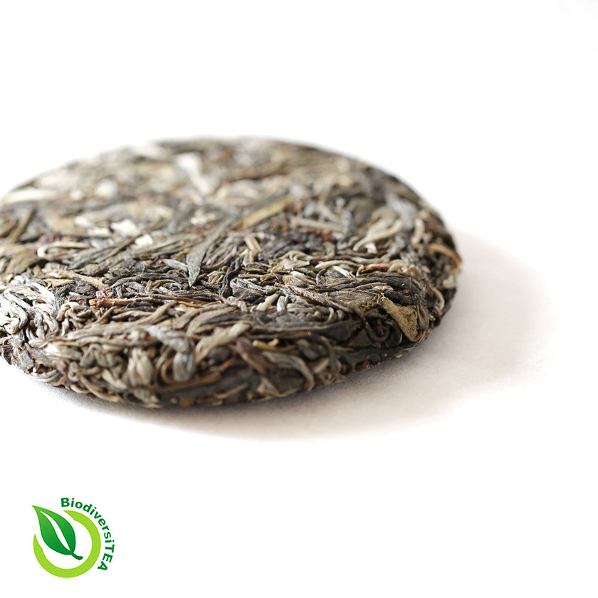 Rattan Qi Tea - Ancient Tea Tree Artisanal Raw Puer Tea - Wild Tea Qi Official Website