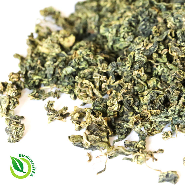 Wild Gynostemma Herbal Tea - Wild Tea Qi Official Website