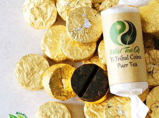 Yi Tribal Coins Tube Fermented Puer Tea - Wild Tea Qi Official Website