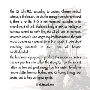 The Qi of Tea - Ancient Rattan Tea Tree Raw Puer - 2021 Limited Edition - Wild Tea Qi Official Website